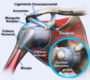 dolor en el hombro frontal